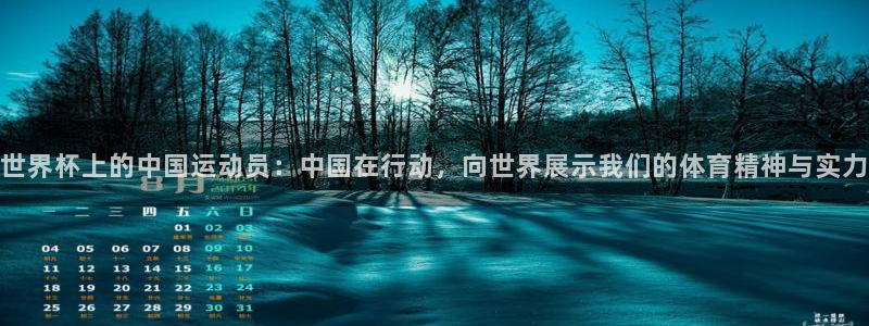 世界杯直播:世界杯上的中国运动员:中国在行动,向世界展示我们的体育精神与实力