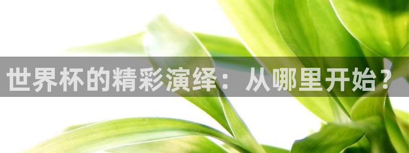 世界杯直播在线观看入口:世界杯的精彩演绎:从哪里开始?