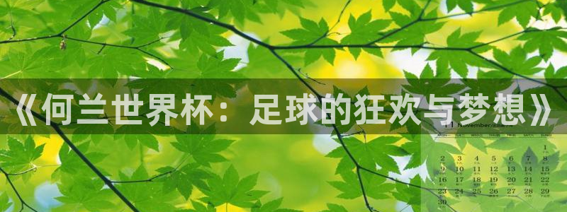 2026世界杯赛程时间表最新:《何兰世界杯:足球的狂欢与梦想》
