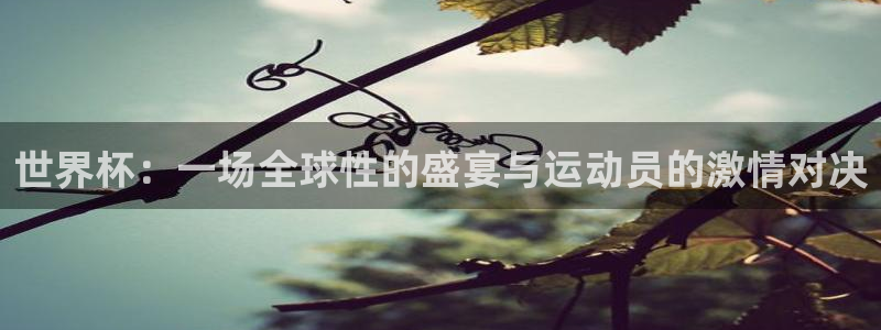 世界杯预选赛:世界杯:一场全球性的盛宴与运动员的激情对决