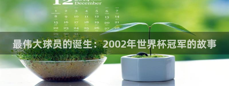 足球世界杯预选赛:最伟大球员的诞生:2002年世界杯冠军的故事