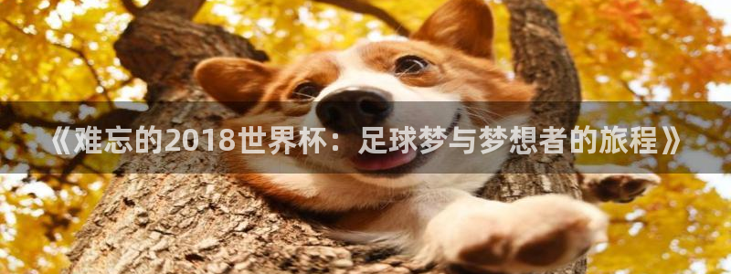 2026世界杯亚洲预选赛赛程:《难忘的2018世界杯:足球梦与梦想者的旅程》