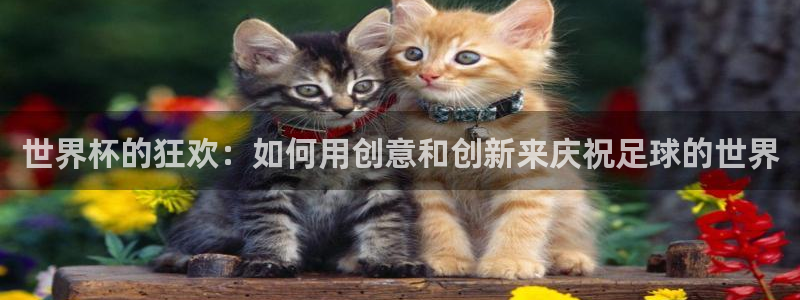 足球世界杯2026:世界杯的狂欢:如何用创意和创新来庆祝足球的世界